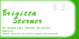 brigitta sterner business card